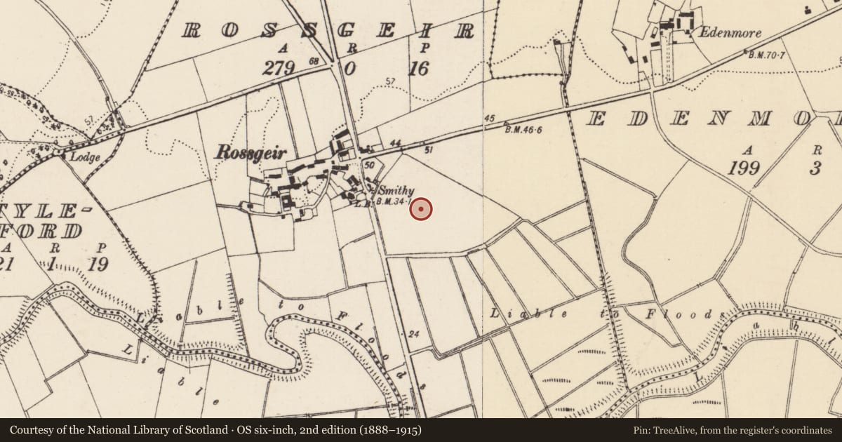 Ordnance Survey six-inch map, 2nd edition (1888–1915) covering the location of Standing stone, Rossgeir, County Donegal, with a pin at the register's coordinates