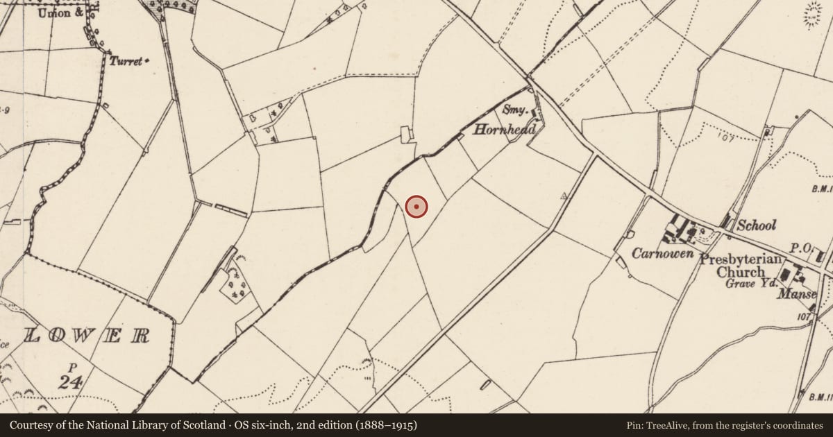 Ordnance Survey six-inch map, 2nd edition (1888–1915) covering the location of Standing stone, Carnowen, County Donegal, with a pin at the register's coordinates