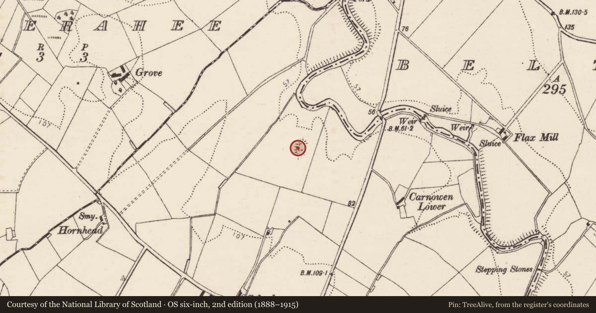 Ordnance Survey six-inch map, 2nd edition (1888–1915) covering the location of Ringfort - unclassified, Carnowen, County Donegal, with a pin at the register's coordinates