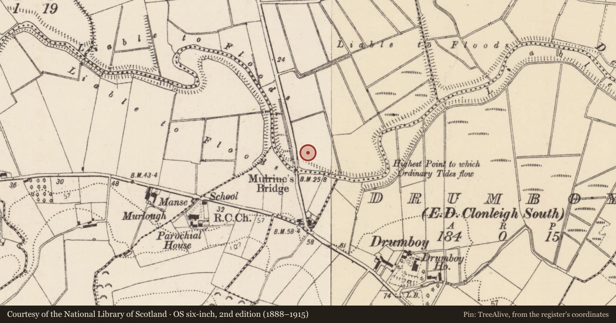 Ordnance Survey six-inch map, 2nd edition (1888–1915) covering the location of Standing stone, Rossgeir, County Donegal, with a pin at the register's coordinates