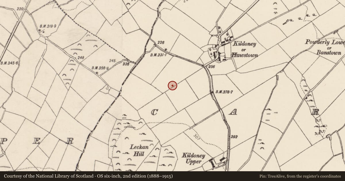Ordnance Survey six-inch map, 2nd edition (1888–1915) covering the location of Standing stone, Carnowen, County Donegal, with a pin at the register's coordinates