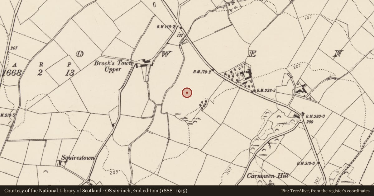 Ordnance Survey six-inch map, 2nd edition (1888–1915) covering the location of Ringfort - unclassified, Carnowen, County Donegal, with a pin at the register's coordinates