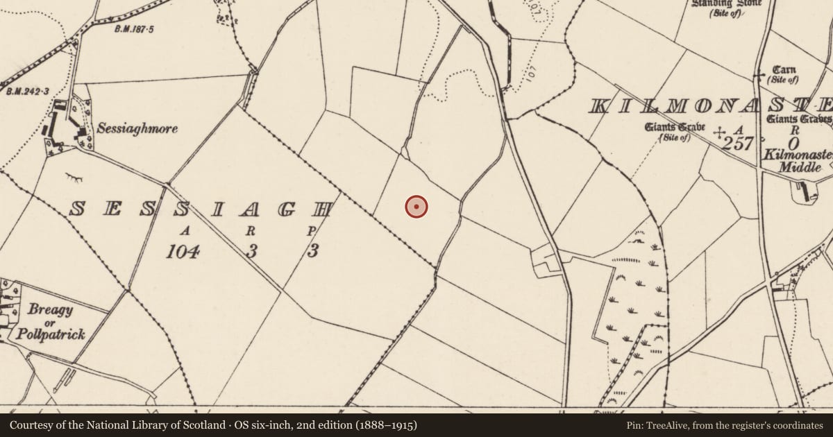 Ordnance Survey six-inch map, 2nd edition (1888–1915) covering the location of Standing stone, Magherashanvally, County Donegal, with a pin at the register's coordinates