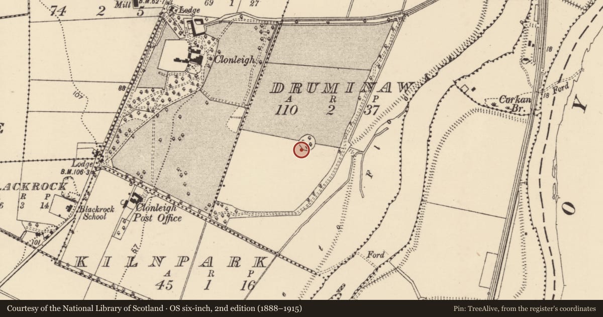 Ordnance Survey six-inch map, 2nd edition (1888–1915) covering the location of Ringfort - rath, Druminaw, County Donegal, with a pin at the register's coordinates
