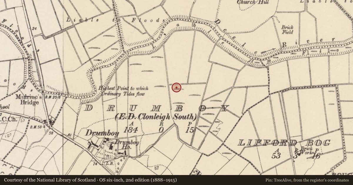 Ordnance Survey six-inch map, 2nd edition (1888–1915) covering the location of Standing stone, Drumboy, County Donegal, with a pin at the register's coordinates