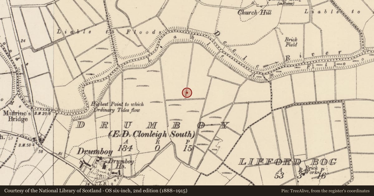 Ordnance Survey six-inch map, 2nd edition (1888–1915) covering the location of Standing stone, Drumboy, County Donegal, with a pin at the register's coordinates