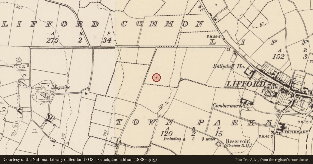 Ordnance Survey six-inch map, 2nd edition (1888–1915) covering the location of Standing stone, Lifford, County Donegal, with a pin at the register's coordinates