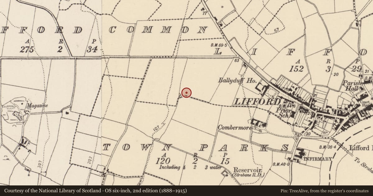 Ordnance Survey six-inch map, 2nd edition (1888–1915) covering the location of Standing stone, Lifford, County Donegal, with a pin at the register's coordinates