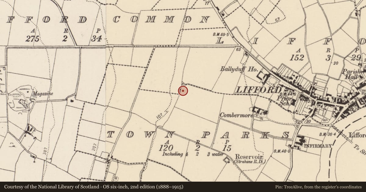 Ordnance Survey six-inch map, 2nd edition (1888–1915) covering the location of Standing stone, Townparks, County Donegal, with a pin at the register's coordinates