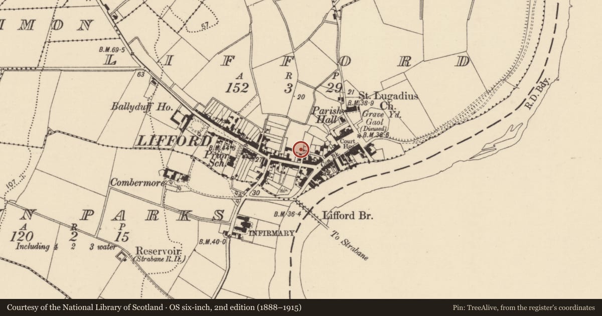 Ordnance Survey six-inch map, 2nd edition (1888–1915) covering the location of Historic town, Lifford, Townparks, County Donegal, with a pin at the register's coordinates
