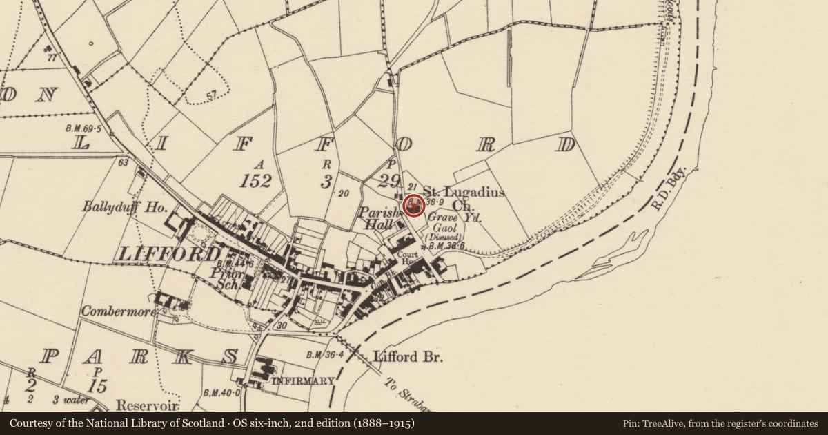 Ordnance Survey six-inch map, 2nd edition (1888–1915) covering the location of Church, Lifford, County Donegal, with a pin at the register's coordinates