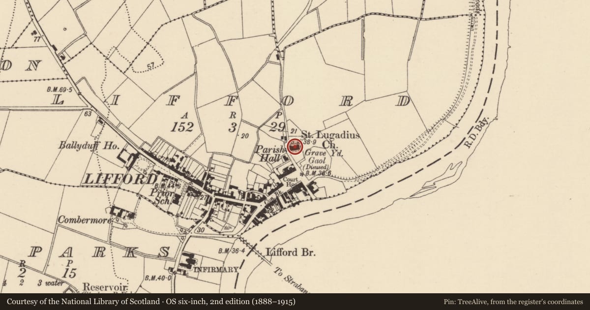 Ordnance Survey six-inch map, 2nd edition (1888–1915) covering the location of Wall monument - effigial, Lifford Town, County Donegal, with a pin at the register's coordinates