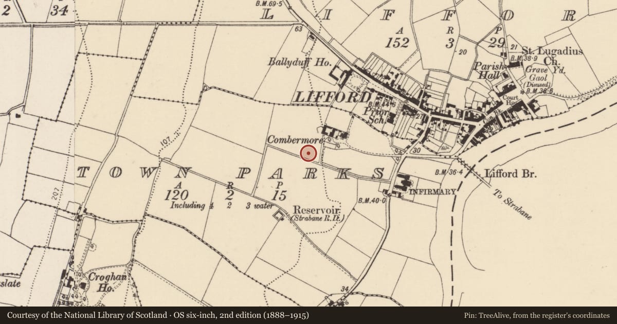 Ordnance Survey six-inch map, 2nd edition (1888–1915) covering the location of Standing stone, Townparks, County Donegal, with a pin at the register's coordinates
