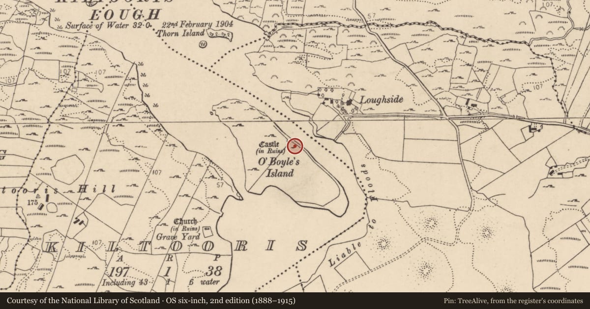 Ordnance Survey six-inch map, 2nd edition (1888–1915) covering the location of Castle - unclassified, Kiltooris, County Donegal, with a pin at the register's coordinates