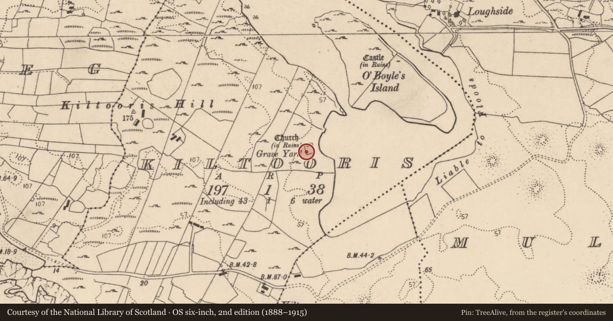 Ordnance Survey six-inch map, 2nd edition (1888–1915) covering the location of Graveyard, Kiltooris, County Donegal, with a pin at the register's coordinates
