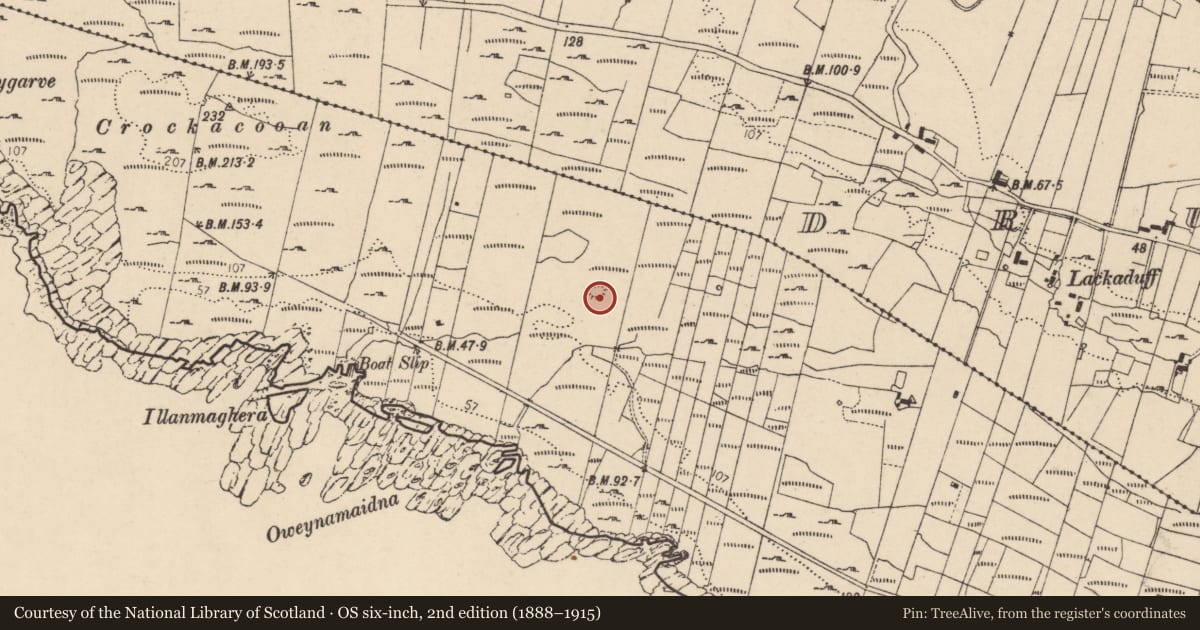 Ordnance Survey six-inch map, 2nd edition (1888–1915) covering the location of Ringfort - cashel, Cloghboy, County Donegal, with a pin at the register's coordinates