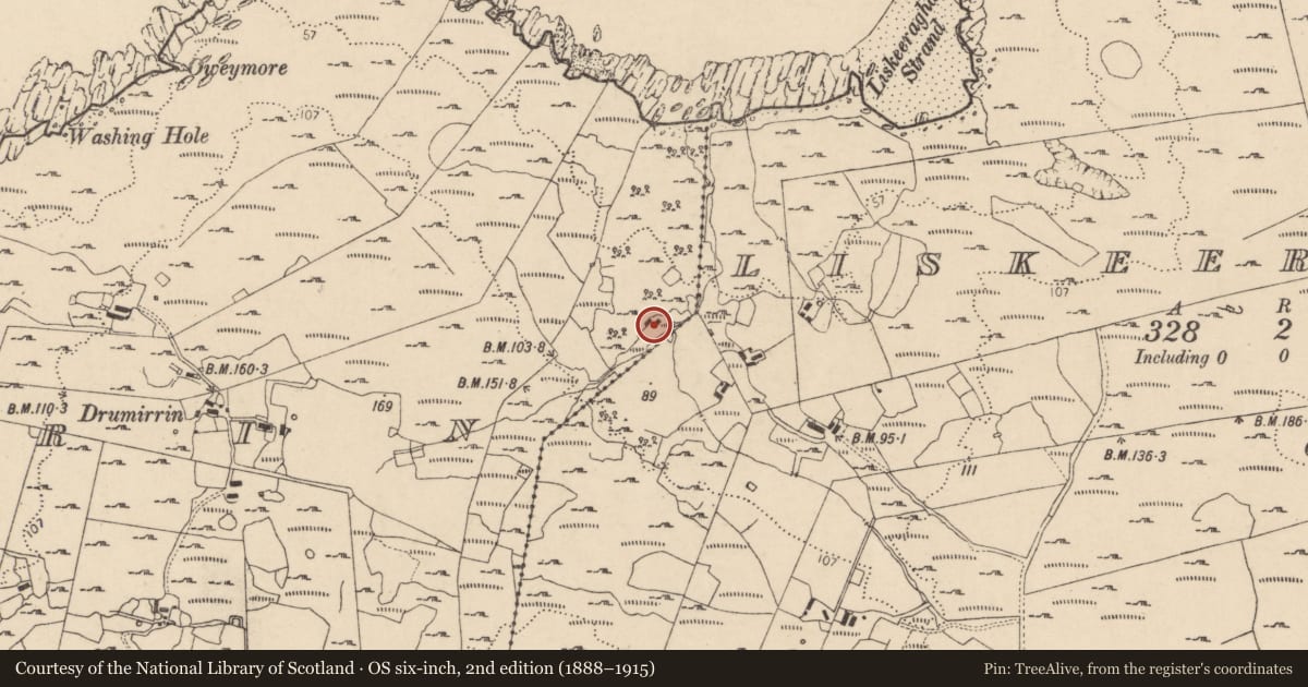 Ordnance Survey six-inch map, 2nd edition (1888–1915) covering the location of Cross-slab, Drumirrin, County Donegal, with a pin at the register's coordinates