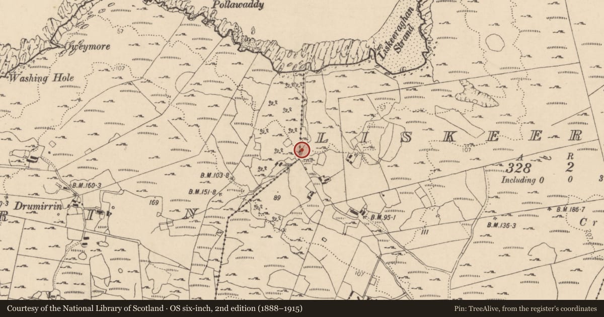 Ordnance Survey six-inch map, 2nd edition (1888–1915) covering the location of Cross-slab (present location), Liskeeraghan, County Donegal, with a pin at the register's coordinates