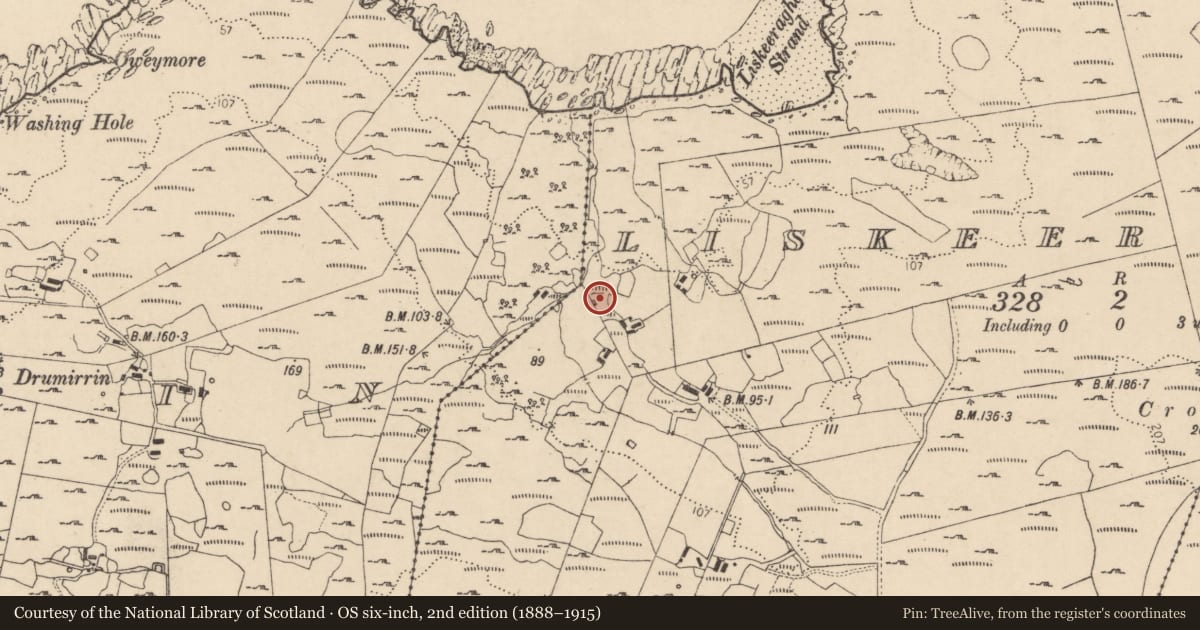 Ordnance Survey six-inch map, 2nd edition (1888–1915) covering the location of Ringfort - cashel, Liskeeraghan, County Donegal, with a pin at the register's coordinates