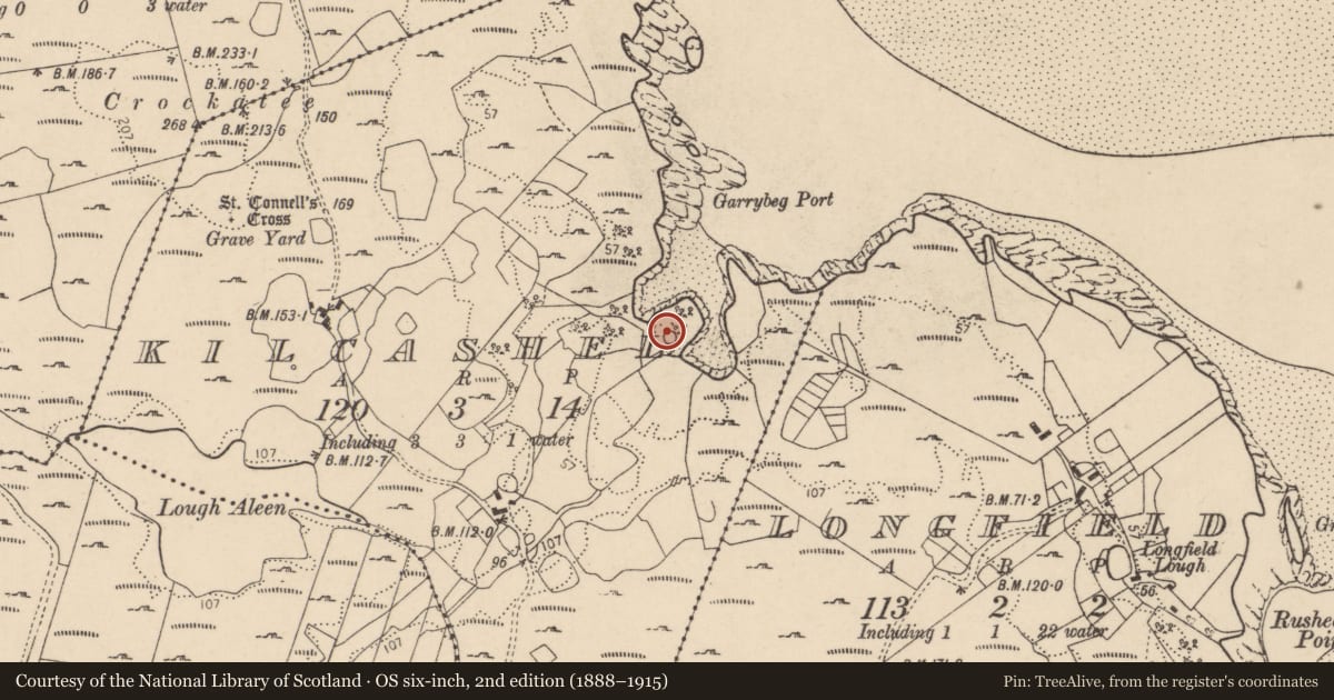 Ordnance Survey six-inch map, 2nd edition (1888–1915) covering the location of Ringfort - cashel, Kilcashel, County Donegal, with a pin at the register's coordinates