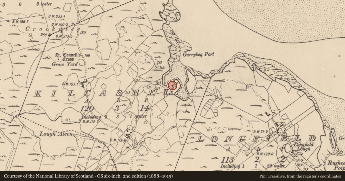 Ordnance Survey six-inch map, 2nd edition (1888–1915) covering the location of Cross-inscribed stone, Kilcashel, County Donegal, with a pin at the register's coordinates