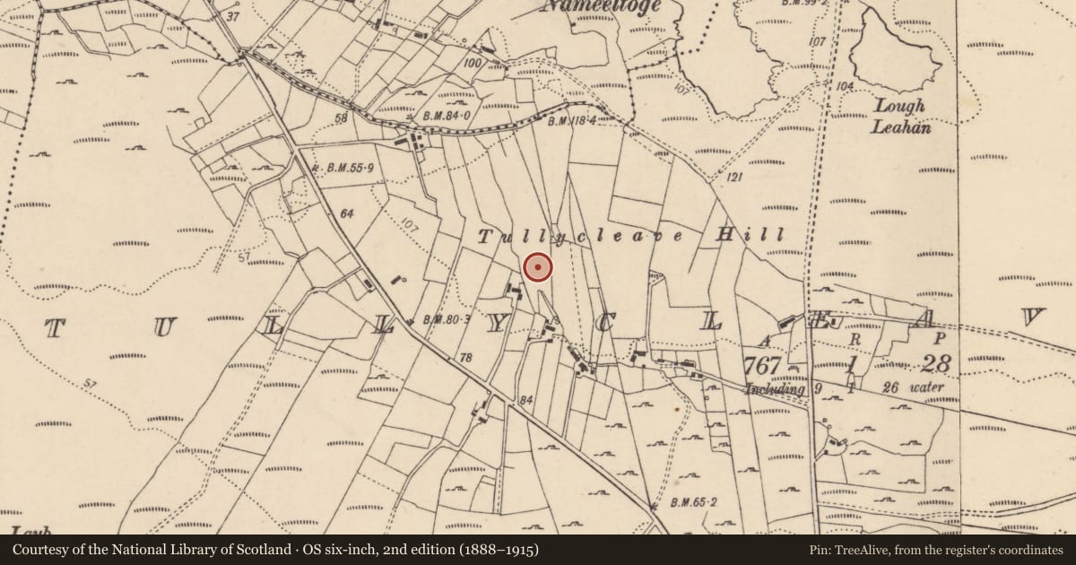 Ordnance Survey six-inch map, 2nd edition (1888–1915) covering the location of Standing stone, Tullycleave More, County Donegal, with a pin at the register's coordinates