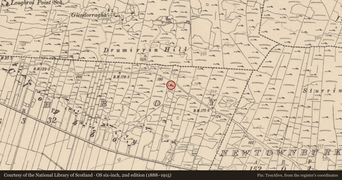 Ordnance Survey six-inch map, 2nd edition (1888–1915) covering the location of Cross-slab (present location), Cloghboy, County Donegal, with a pin at the register's coordinates