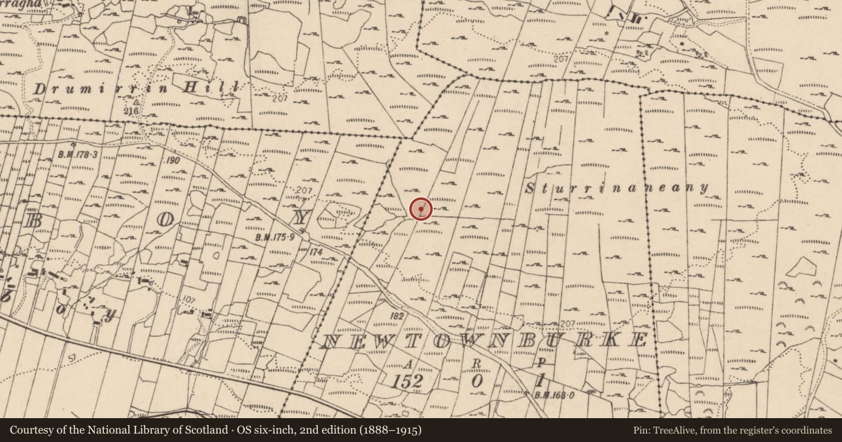 Ordnance Survey six-inch map, 2nd edition (1888–1915) covering the location of Cross-slab, Newtownburke, County Donegal, with a pin at the register's coordinates