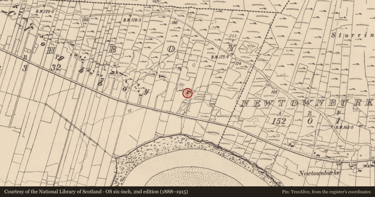 Ordnance Survey six-inch map, 2nd edition (1888–1915) covering the location of Cross-slab, Cloghboy, County Donegal, with a pin at the register's coordinates