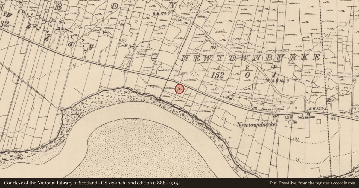 Ordnance Survey six-inch map, 2nd edition (1888–1915) covering the location of Cross-slab, Newtownburke, County Donegal, with a pin at the register's coordinates