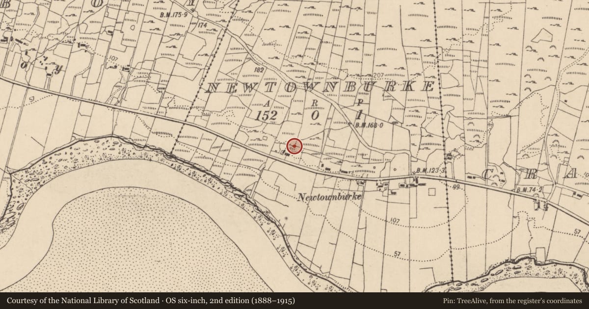 Ordnance Survey six-inch map, 2nd edition (1888–1915) covering the location of Cross-slab, Newtownburke, County Donegal, with a pin at the register's coordinates