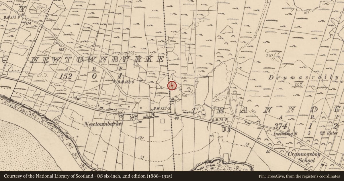 Ordnance Survey six-inch map, 2nd edition (1888–1915) covering the location of Cross-slab, Crannogeboy, County Donegal, with a pin at the register's coordinates