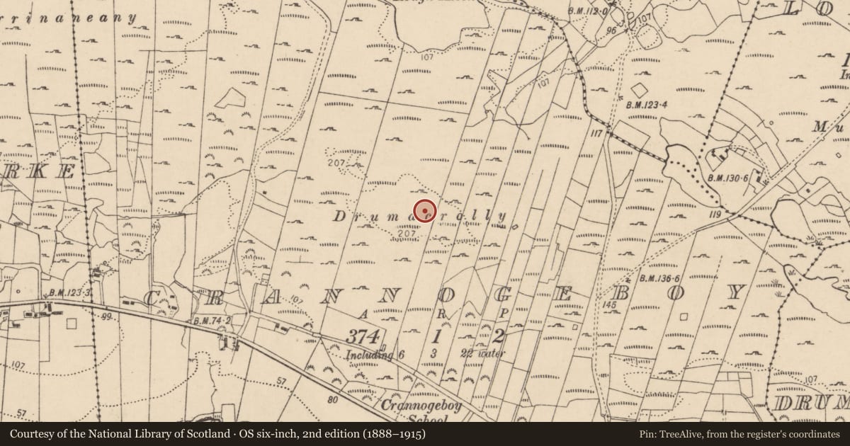 Ordnance Survey six-inch map, 2nd edition (1888–1915) covering the location of Ringfort - unclassified, Crannogeboy, County Donegal, with a pin at the register's coordinates