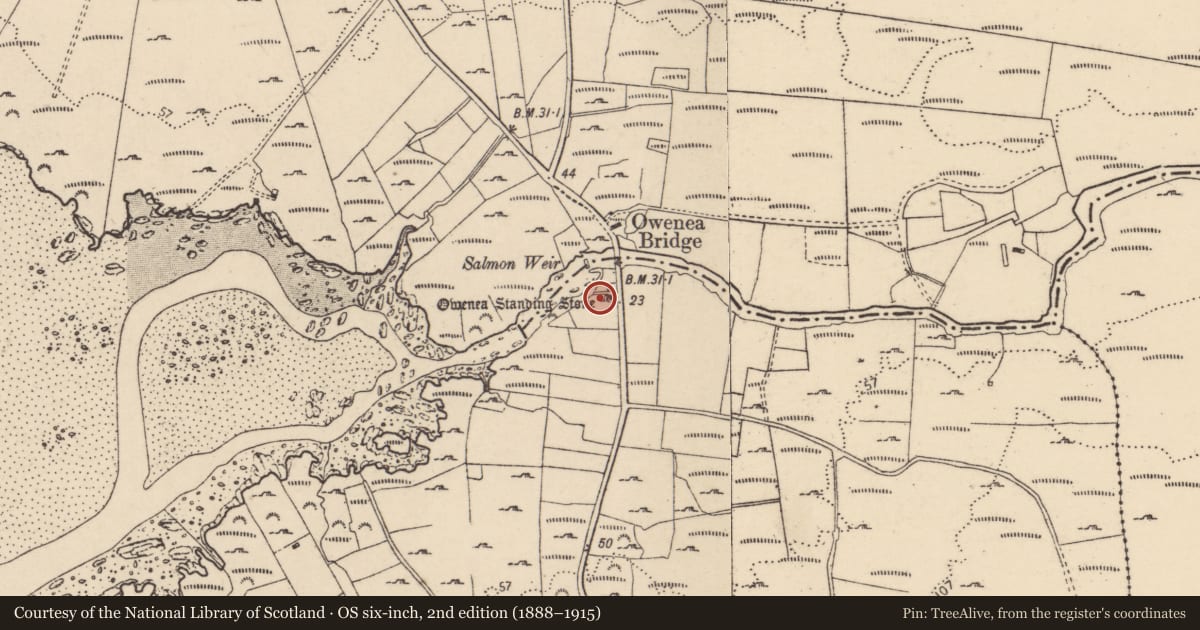 Ordnance Survey six-inch map, 2nd edition (1888–1915) covering the location of Standing stone, Ardara, County Donegal, with a pin at the register's coordinates