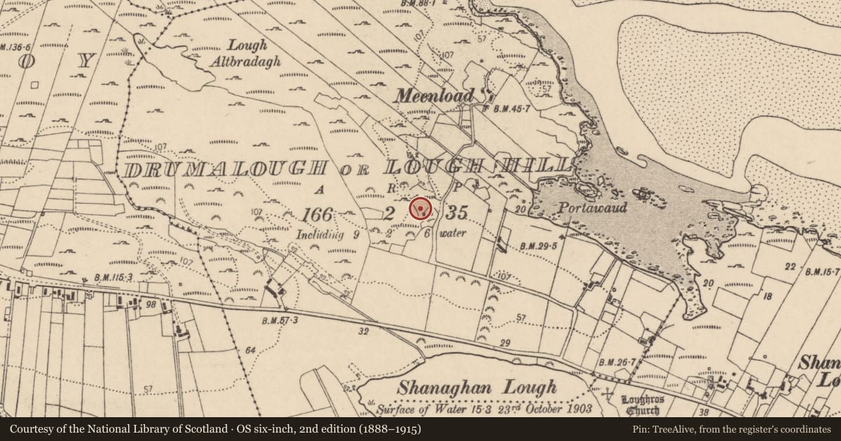 Ordnance Survey six-inch map, 2nd edition (1888–1915) covering the location of Bullaun stone, Drumalough Or Lough Hill, County Donegal, with a pin at the register's coordinates