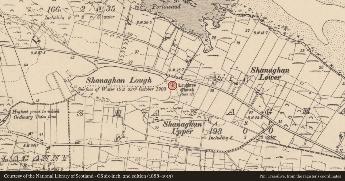 Ordnance Survey six-inch map, 2nd edition (1888–1915) covering the location of Ritual site - holy well, Shanaghan, County Donegal, with a pin at the register's coordinates