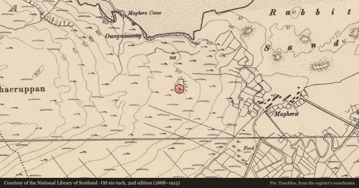 Ordnance Survey six-inch map, 2nd edition (1888–1915) covering the location of Structure, An MacHaire, County Donegal, with a pin at the register's coordinates