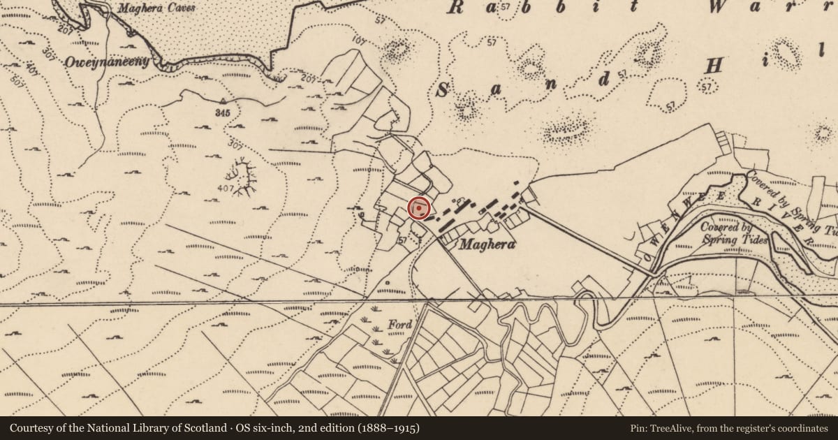 Ordnance Survey six-inch map, 2nd edition (1888–1915) covering the location of Burial ground, An MacHaire, County Donegal, with a pin at the register's coordinates