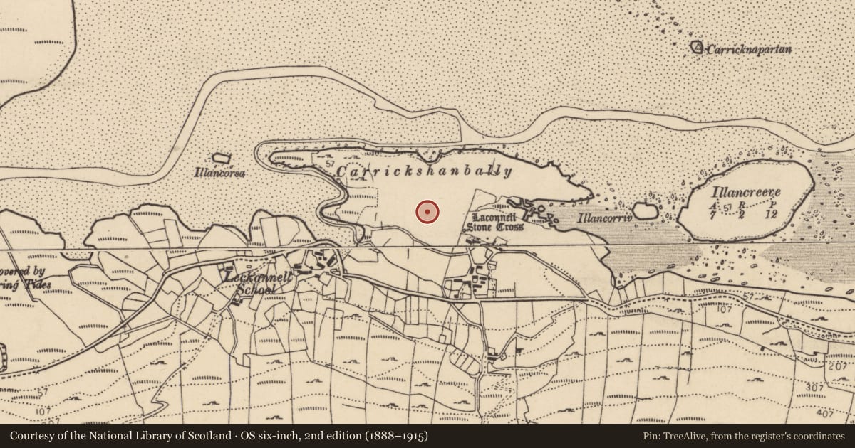 Ordnance Survey six-inch map, 2nd edition (1888–1915) covering the location of Ritual site - holy well, Leac Chonaill, County Donegal, with a pin at the register's coordinates