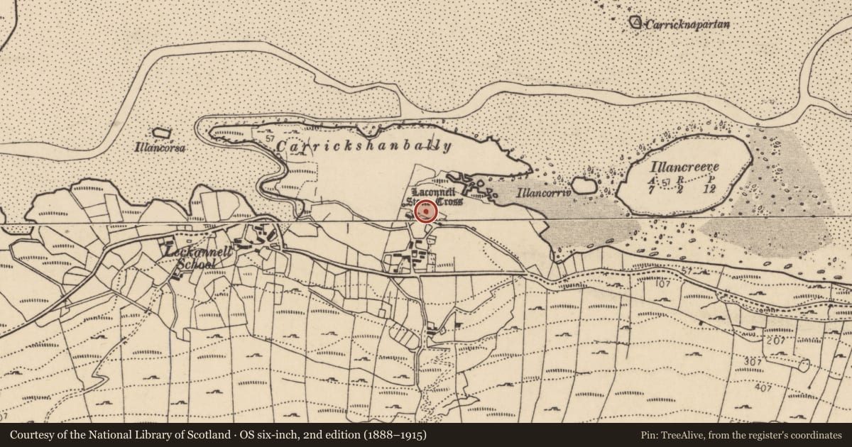 Ordnance Survey six-inch map, 2nd edition (1888–1915) covering the location of Cross-inscribed stone, Leac Chonaill, County Donegal, with a pin at the register's coordinates