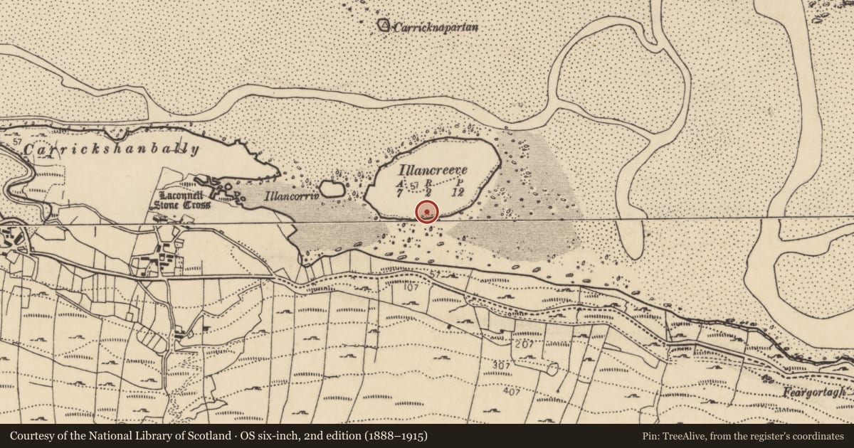 Ordnance Survey six-inch map, 2nd edition (1888–1915) covering the location of Ritual site - holy well, Leac Chonaill, County Donegal, with a pin at the register's coordinates