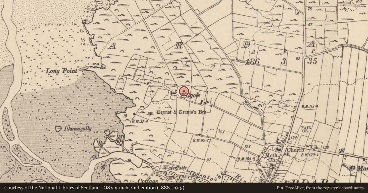 Ordnance Survey six-inch map, 2nd edition (1888–1915) covering the location of Burial ground, Ardara, County Donegal, with a pin at the register's coordinates