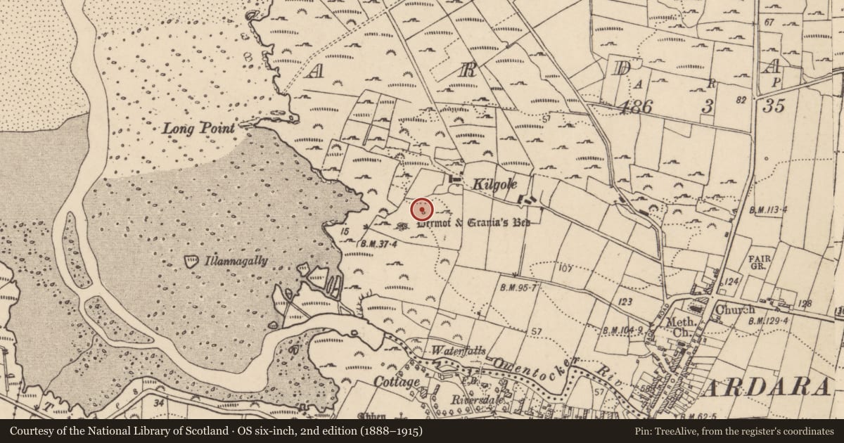 Ordnance Survey six-inch map, 2nd edition (1888–1915) covering the location of Megalithic tomb - unclassified, Ardara, County Donegal, with a pin at the register's coordinates