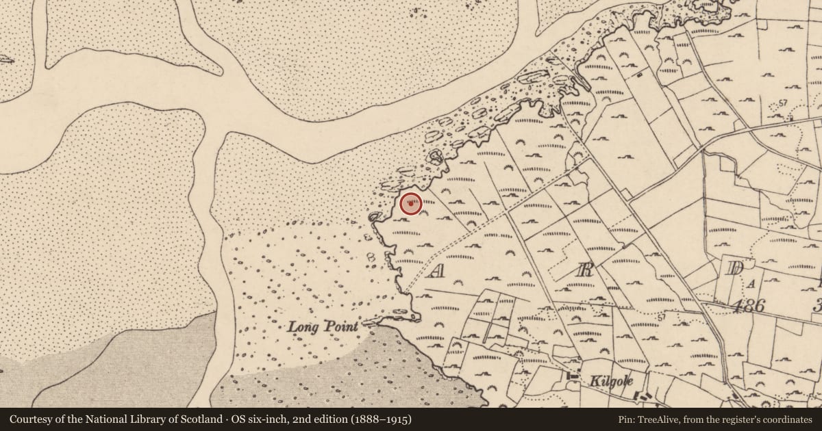 Ordnance Survey six-inch map, 2nd edition (1888–1915) covering the location of Megalithic structure, Ardara, County Donegal, with a pin at the register's coordinates