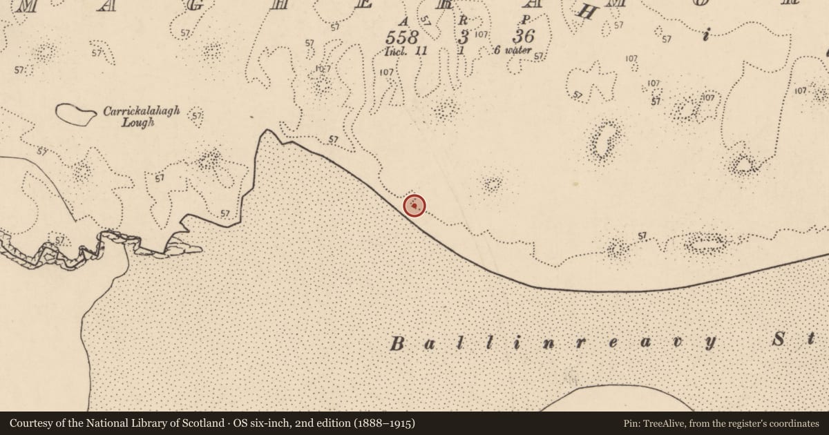 Ordnance Survey six-inch map, 2nd edition (1888–1915) covering the location of Midden, Magheramore, County Donegal, with a pin at the register's coordinates