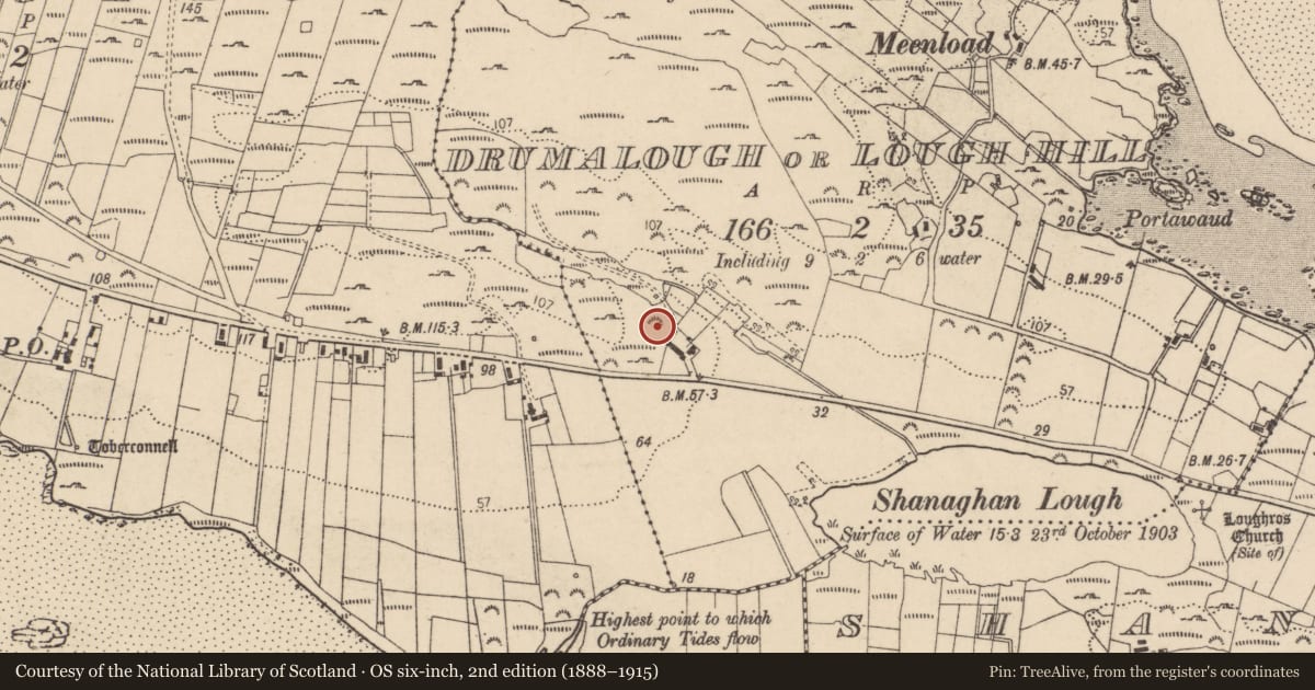 Ordnance Survey six-inch map, 2nd edition (1888–1915) covering the location of Bullaun stone, Drumalough Or Lough Hill, County Donegal, with a pin at the register's coordinates