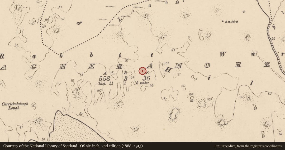 Ordnance Survey six-inch map, 2nd edition (1888–1915) covering the location of Standing stone, Magheramore, County Donegal, with a pin at the register's coordinates
