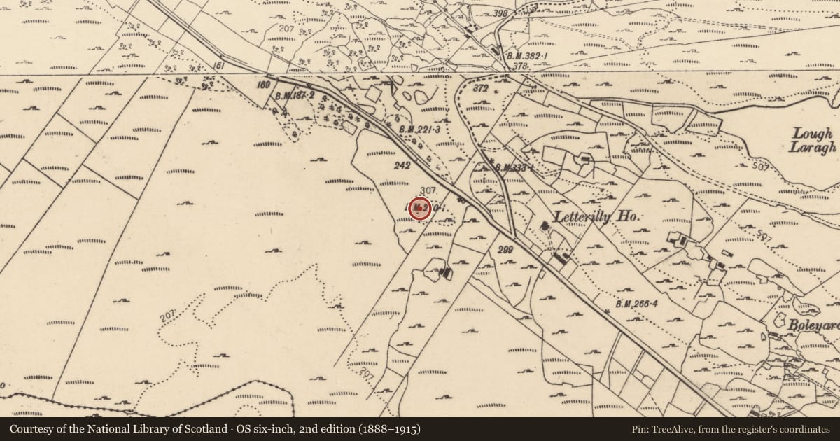 Ordnance Survey six-inch map, 2nd edition (1888–1915) covering the location of Ringfort - cashel, Letterilly, County Donegal, with a pin at the register's coordinates