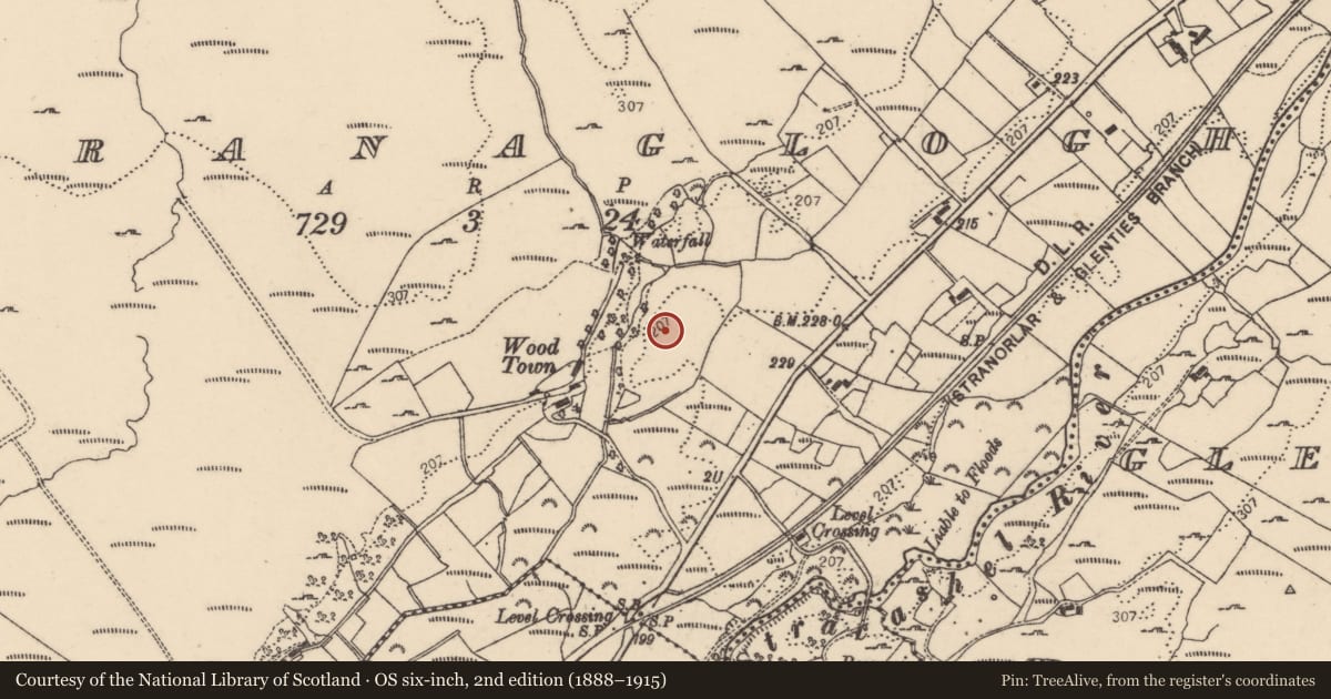Ordnance Survey six-inch map, 2nd edition (1888–1915) covering the location of Ringfort - rath, Stranaglogh, County Donegal, with a pin at the register's coordinates