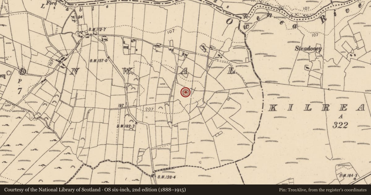 Ordnance Survey six-inch map, 2nd edition (1888–1915) covering the location of Ringfort - cashel, Clonconwal, County Donegal, with a pin at the register's coordinates